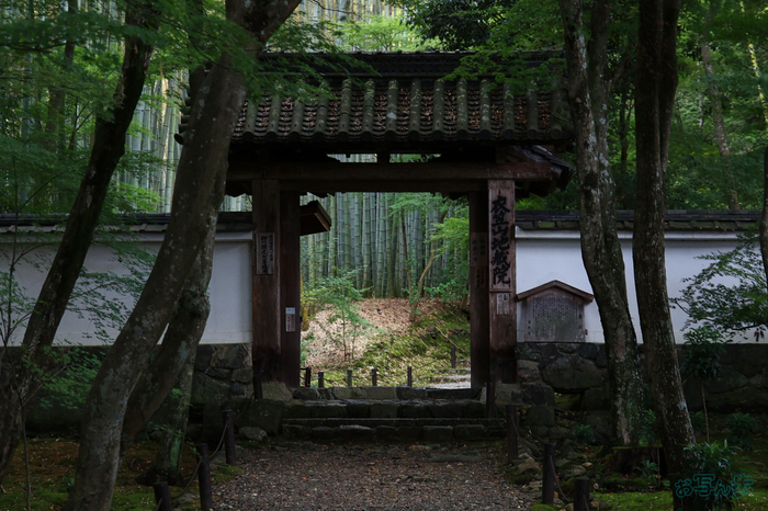 お写ん歩
